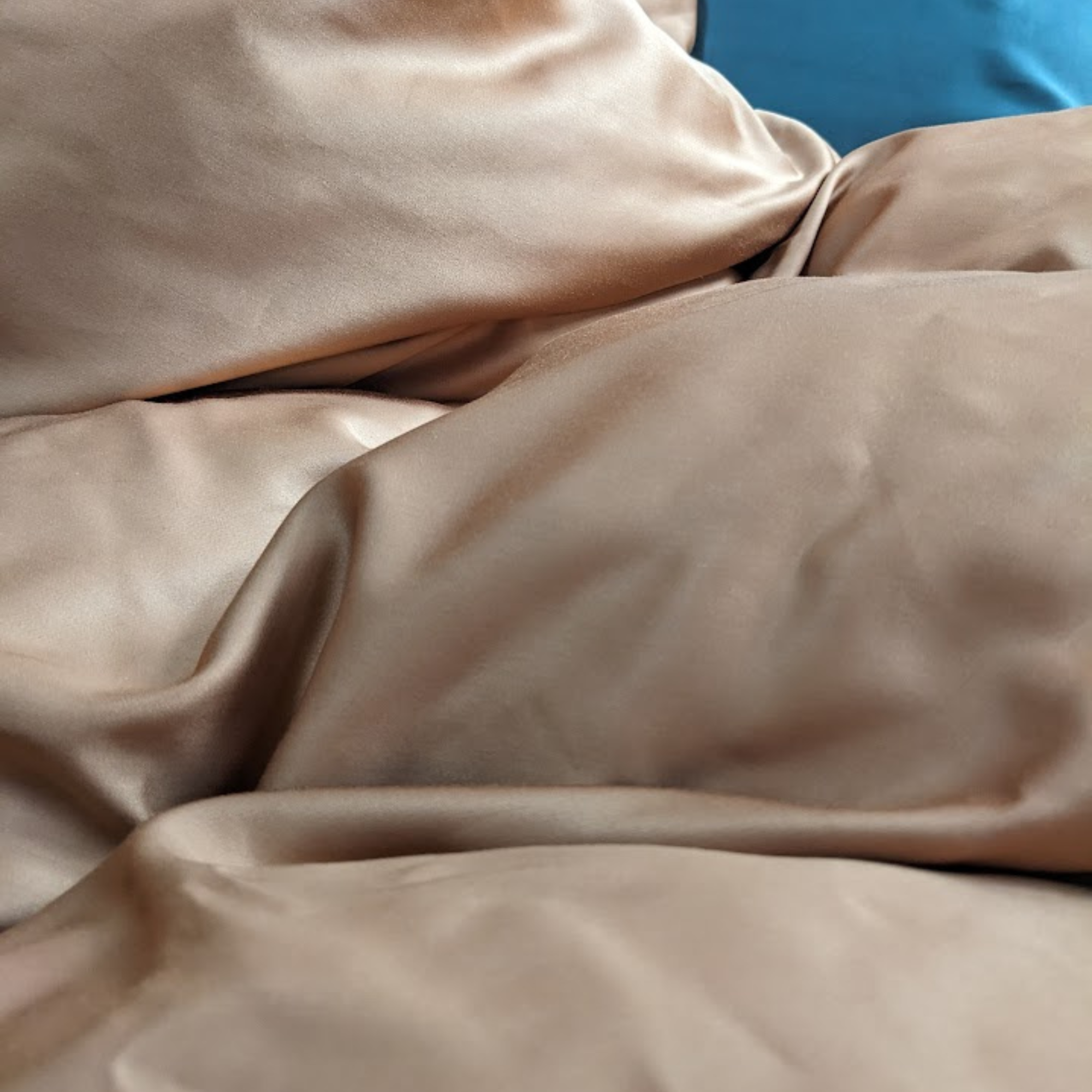 Organic Bamboo Duvet Cover Set | Raisin